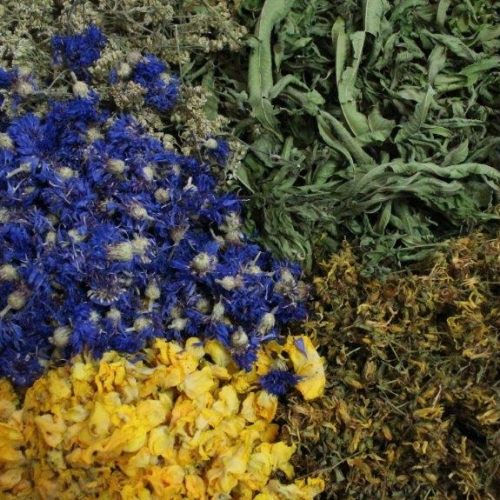Kräuter Kräuter Blüten handgeerntet