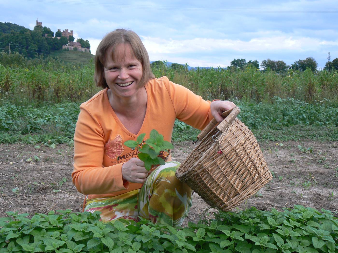 Silke | Ortenaukreis